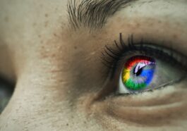 Ente: eine sichere und datenschutzfreundliche Alternative zu Google Fotos
